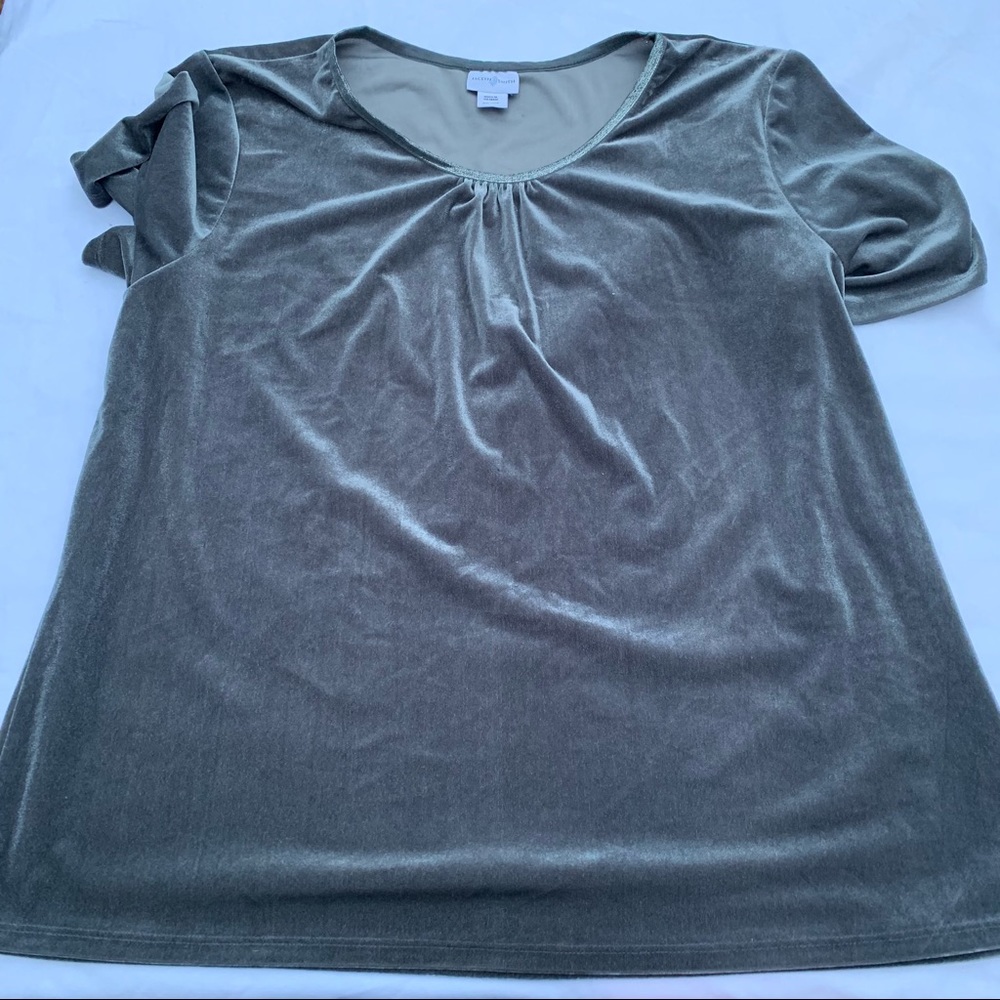 Jaclyn Smith Velvet Blouse